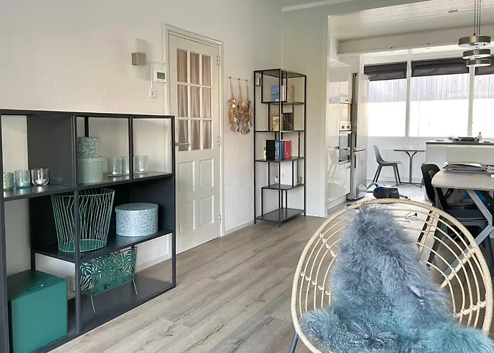 Alibi Aan Zee Wijk Aan Zee