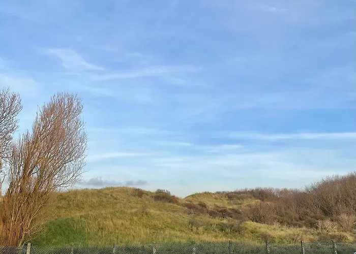 Vakantiehuis Alibi Aan Zee Wijk Aan Zee